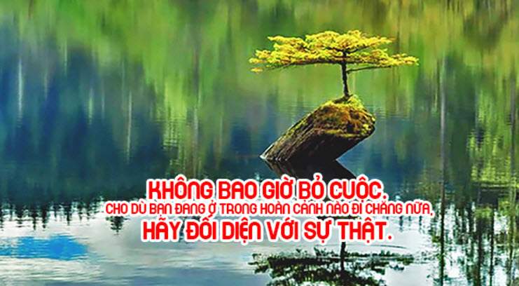 Hình ảnh vượt qua khó khăn và thử thách