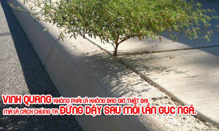 Hình ảnh vượt qua khó khăn và thử thách