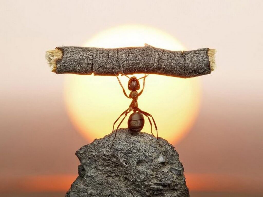 Vượt qua khó khăn thử thách mưu sinh